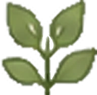 森の力
