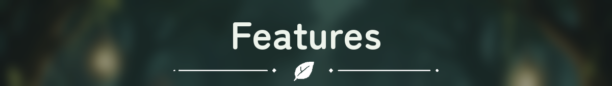 Features